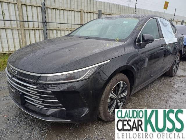 BYD KING 1.5 24/25