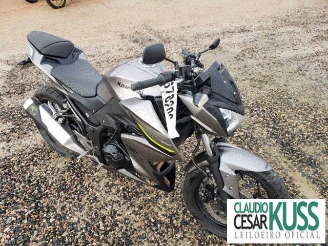 Z300