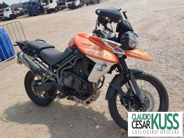 TIGER 800 XCA